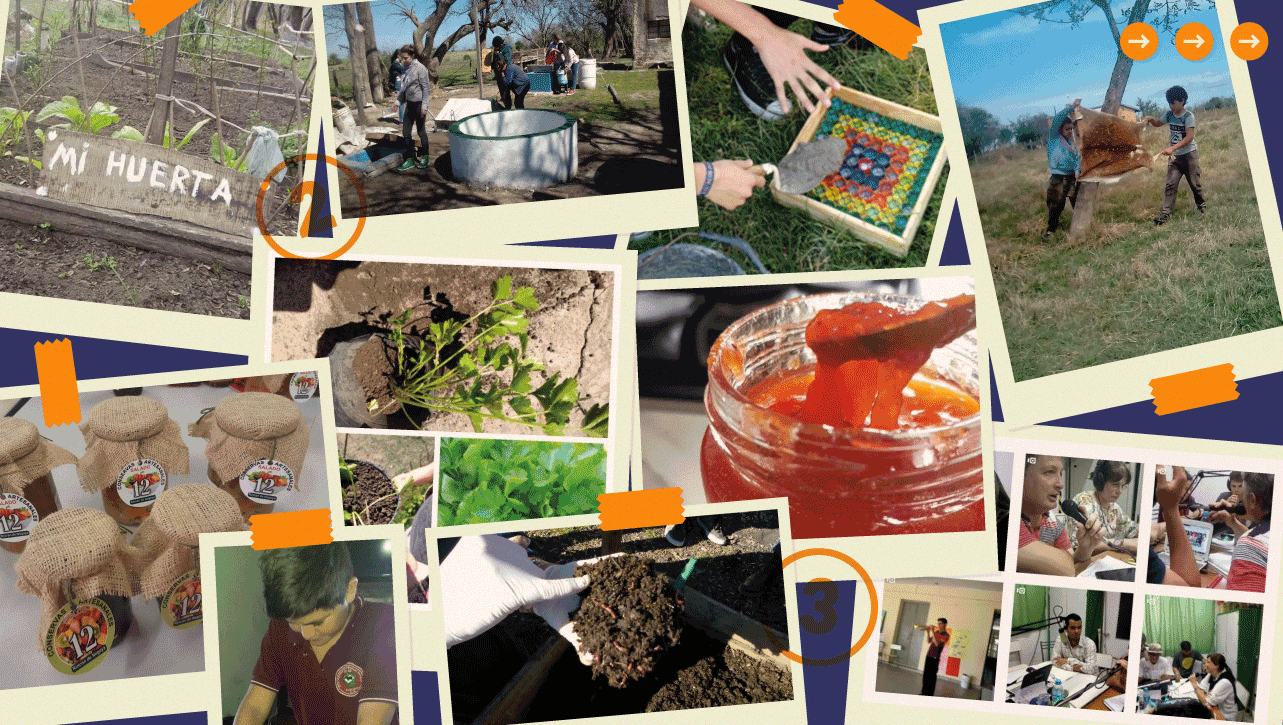 Proyectos productivos escolares de base rural – Portal Aprender